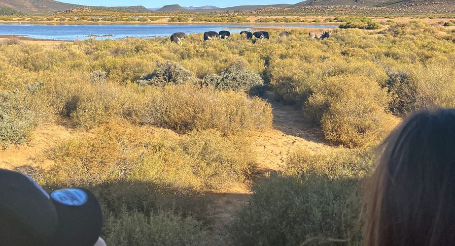 Kruger NP Zuid Afrika groepsrondreis 3